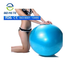Top Rated Premium Exercise Ball Fitness Ball Stability Ball for Fitness, Weight Loss, Core Strength,